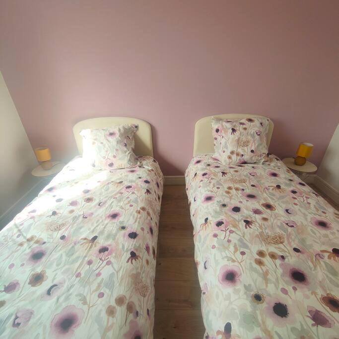 Holiday home Entre Et Vignes 5 Min Zenith Grande Halle Auvergne Romagnat