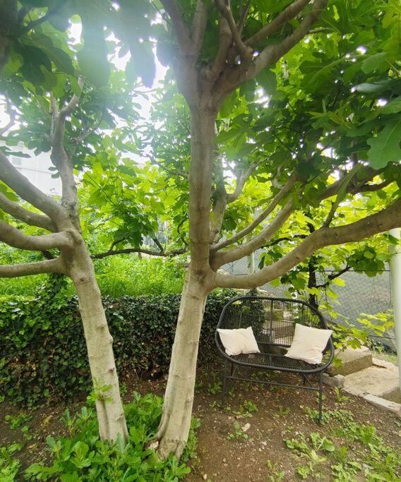 Ferienhaus Entre Et Vignes 5 Min Zenith Grande Halle Auvergne *